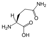 แอล-กลูตามีนใน Keto Diet